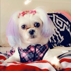 Meet your Posher, Meekmeek